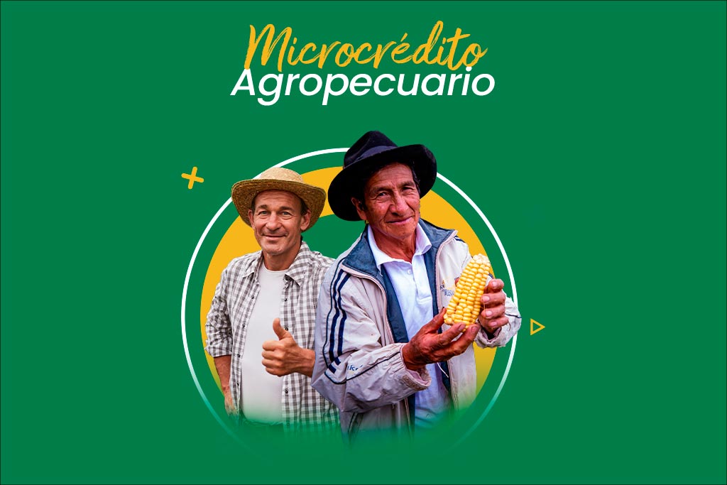 Microcrédito Cooperativa Alianza Minas